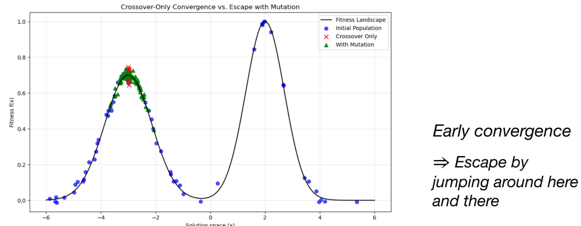  p.14: Graph showing Escape from local optimum with Mutation